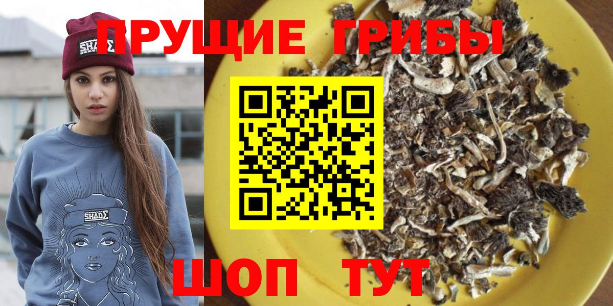 Кулебаки  Галлюциногенные грибы ЛСД  Галлюциногенные грибы прущие грибы  Вход с VPN 
